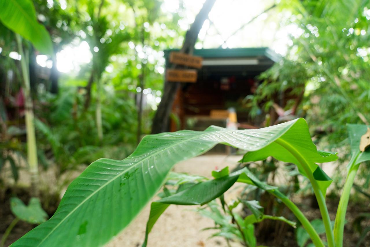 Green Sanctuary Hotel Nosara ภายนอก รูปภาพ