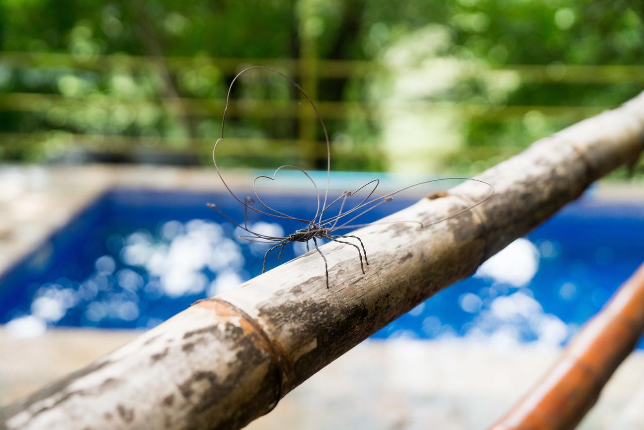 Green Sanctuary Hotel Nosara ภายนอก รูปภาพ