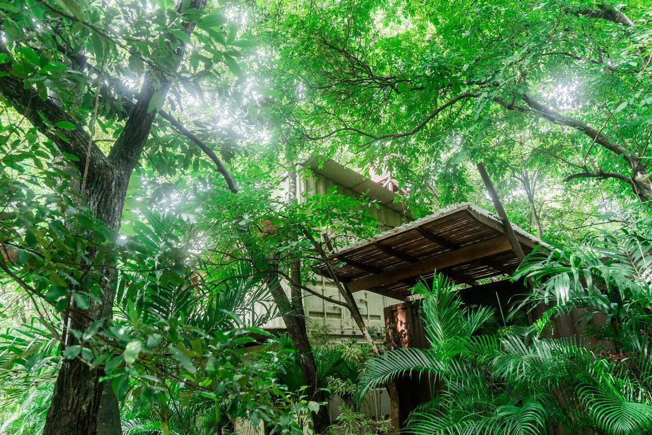 Green Sanctuary Hotel Nosara ภายนอก รูปภาพ