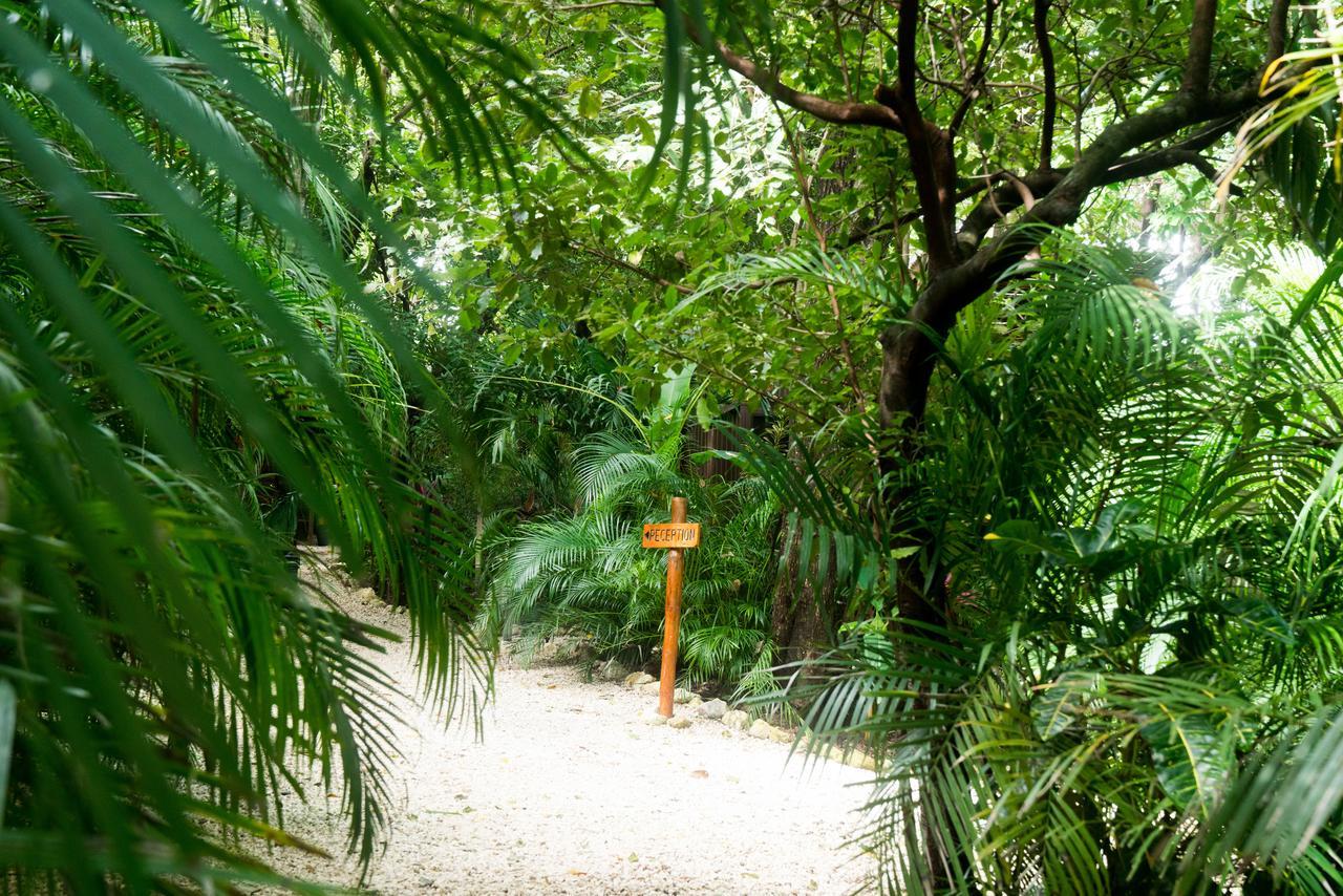 Green Sanctuary Hotel Nosara ภายนอก รูปภาพ