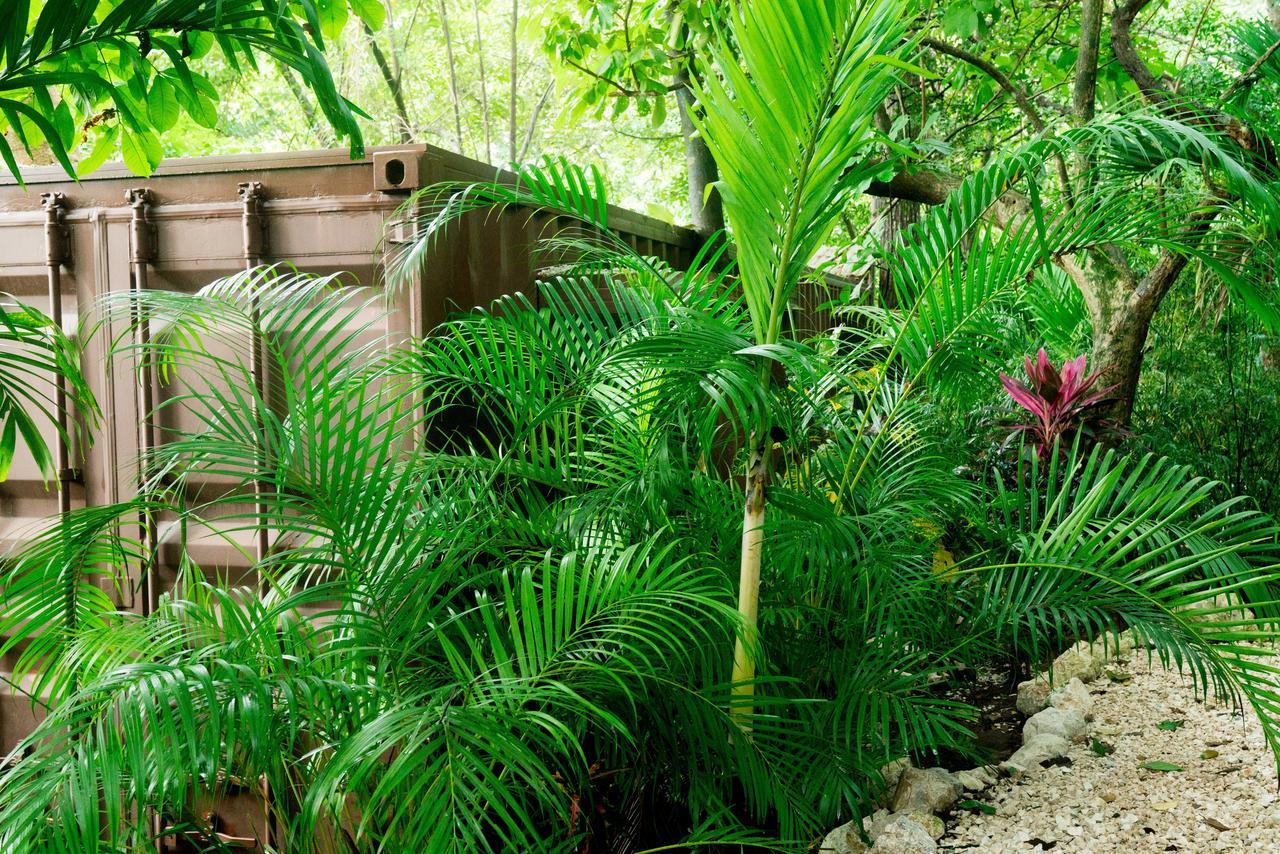 Green Sanctuary Hotel Nosara ภายนอก รูปภาพ
