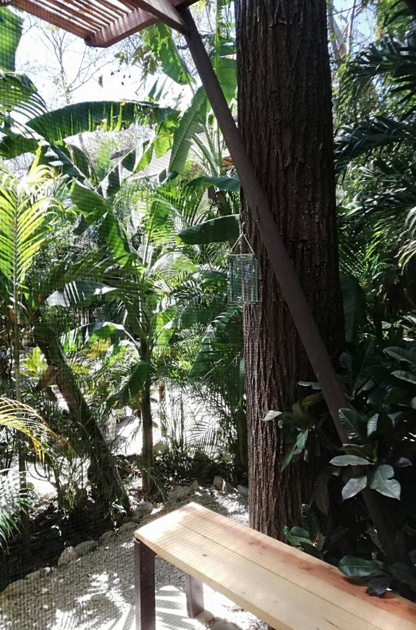 Green Sanctuary Hotel Nosara ภายนอก รูปภาพ